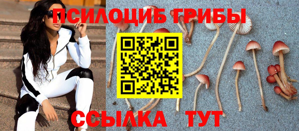 Галлюциногенные грибы MAGIC MUSHROOMS  Галлюциногенные грибы MAGIC MUSHROOMS  Кызыл  Вход с VPN 