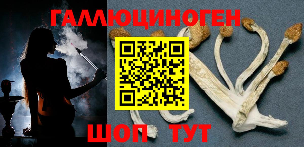 Псилоцибиновые грибы Cubensis Кызыл